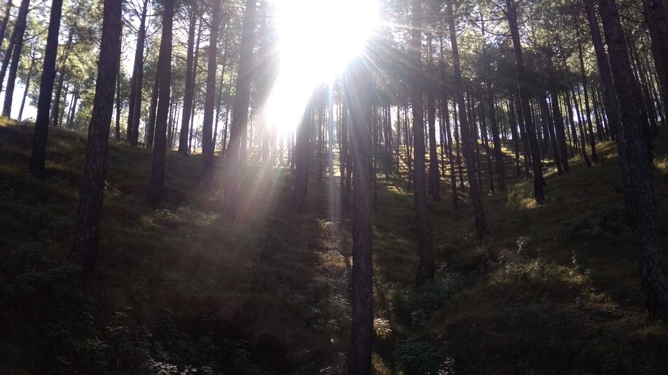 Photo of My urge for peace led me to Uttarakhand! #offbeatuttarakhand by Madhuri Palaji
