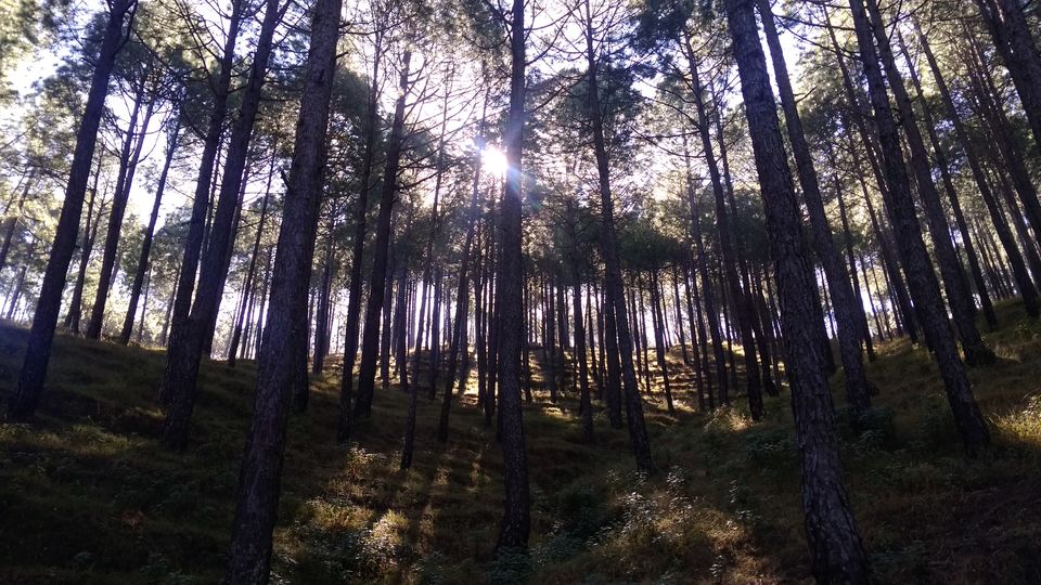 Photo of My urge for peace led me to Uttarakhand! #offbeatuttarakhand by Madhuri Palaji
