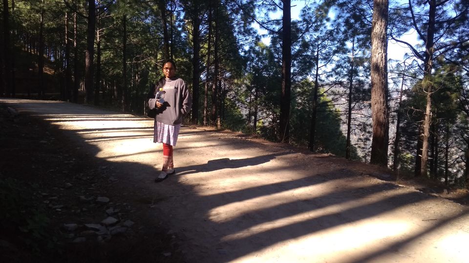 Photo of Himalayan Eco Lodge Sursingdhar, Koti, Uttarakhand, India by Madhuri Palaji
