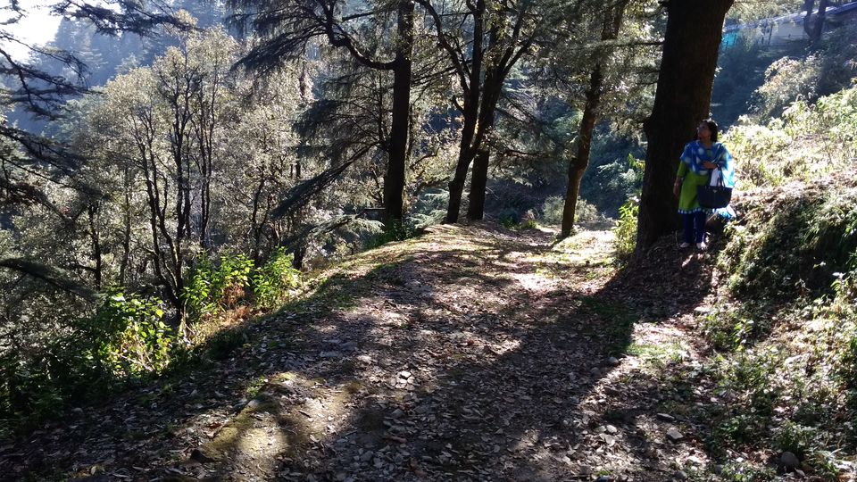 Photo of Landour, a beautiful hill-top town! by Madhuri Palaji