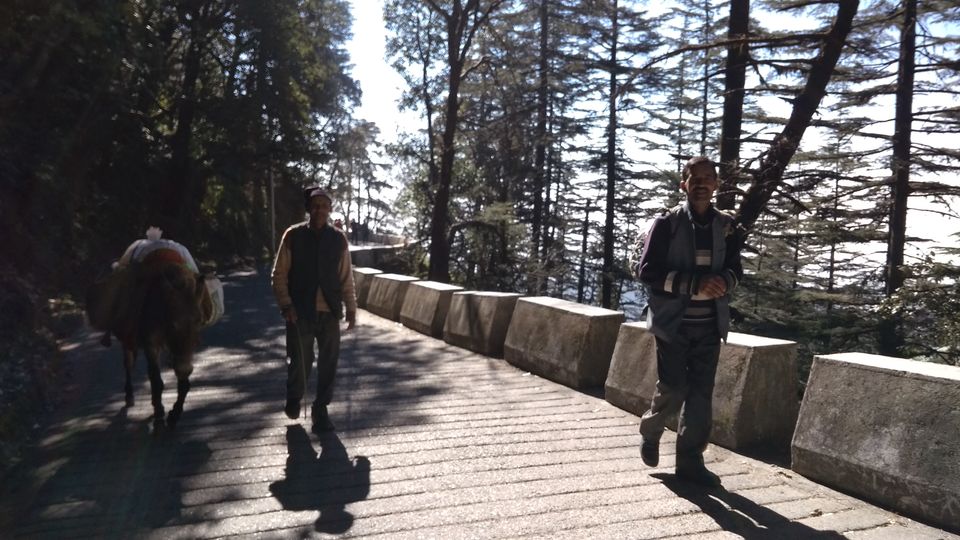 Photo of Landour, a beautiful hill-top town! 13/15 by Madhuri Palaji