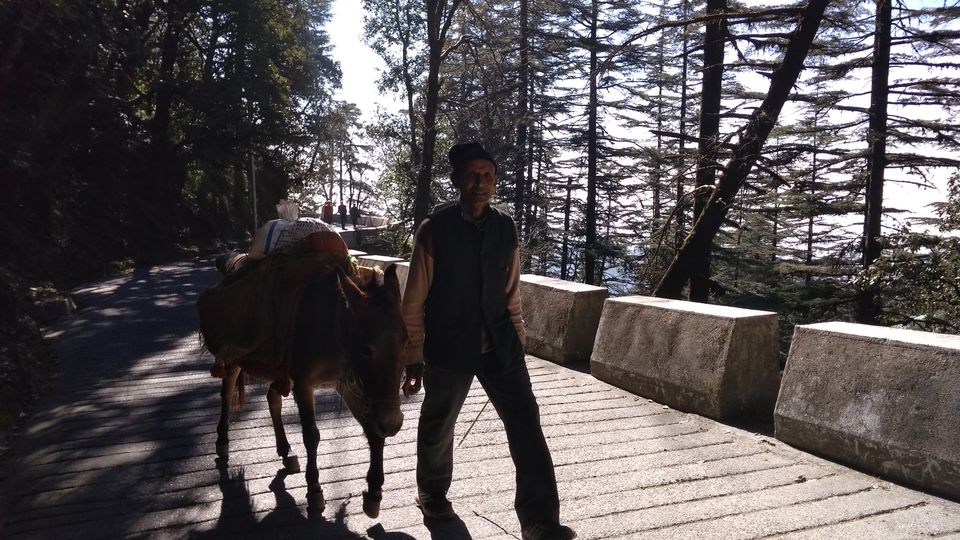 Photo of Landour, a beautiful hill-top town! 14/15 by Madhuri Palaji