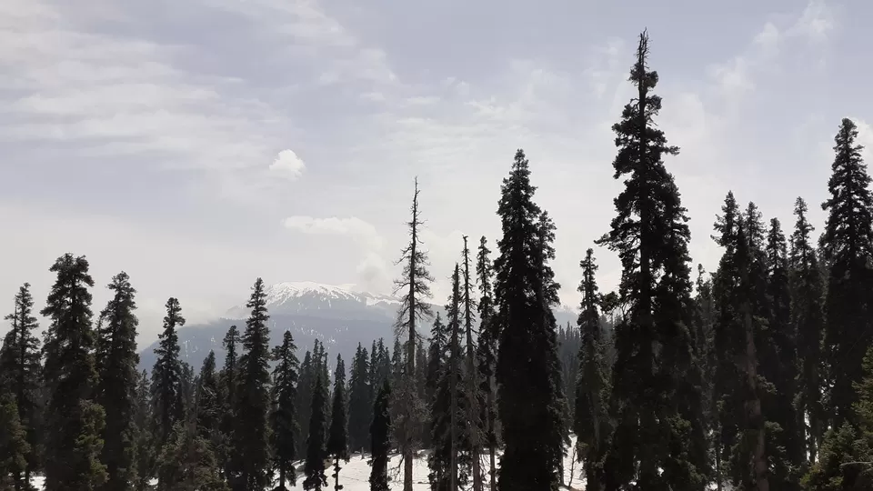 Photo of The mesmerizing #Gulmarg, #Kashmir by Madhuri Palaji