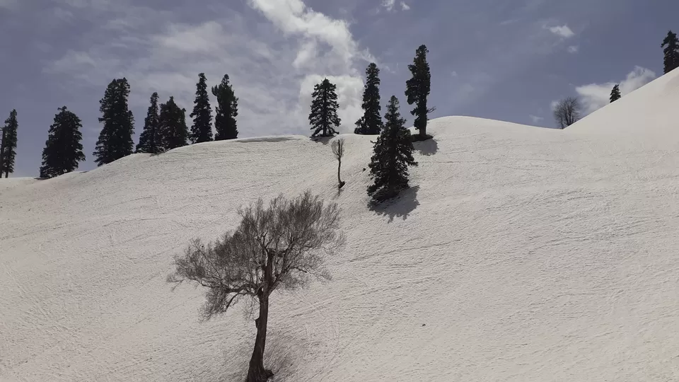 Photo of The mesmerizing #Gulmarg, #Kashmir by Madhuri Palaji
