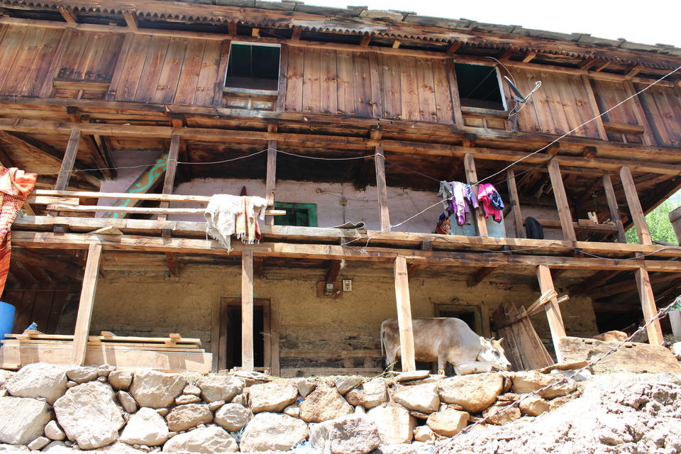 Photo of Kheerganga, savour this dessert with all your senses 1/19 by Rohini Banerjee