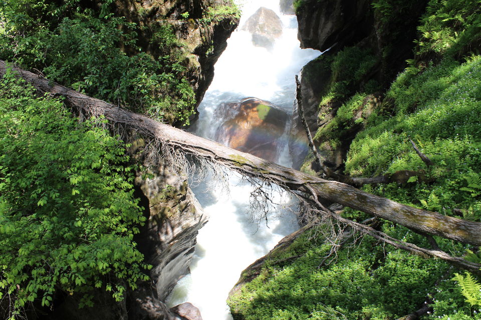 Photo of Kheerganga, savour this dessert with all your senses 2/19 by Rohini Banerjee