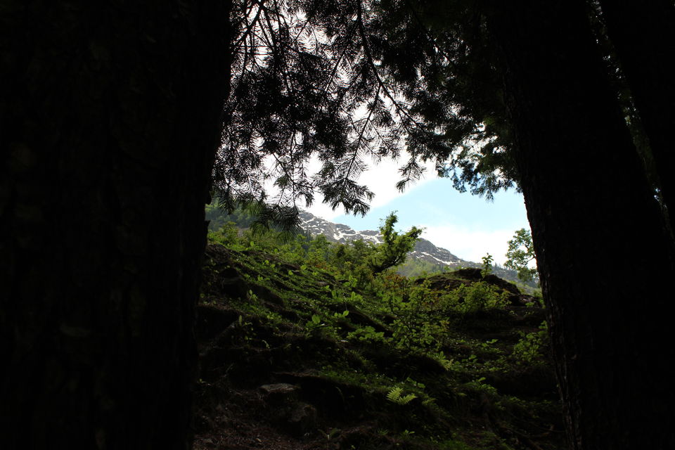 Photo of Kheerganga, savour this dessert with all your senses 3/19 by Rohini Banerjee