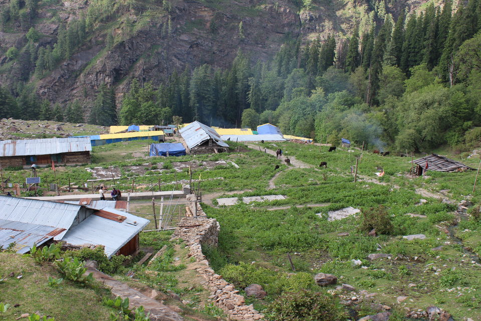 Photo of Kheerganga, savour this dessert with all your senses 6/19 by Rohini Banerjee