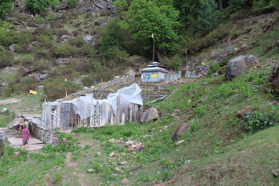 Photo of Kheerganga, savour this dessert with all your senses 7/19 by Rohini Banerjee