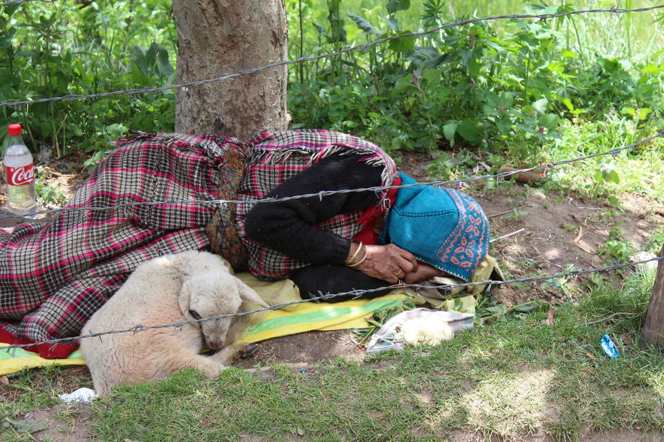 Photo of Kheerganga, savour this dessert with all your senses 19/19 by Rohini Banerjee
