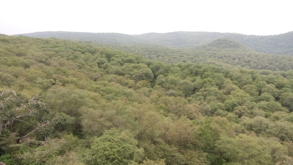 Photo of Drive to the Pink city 4/14 by Pushp Mishra