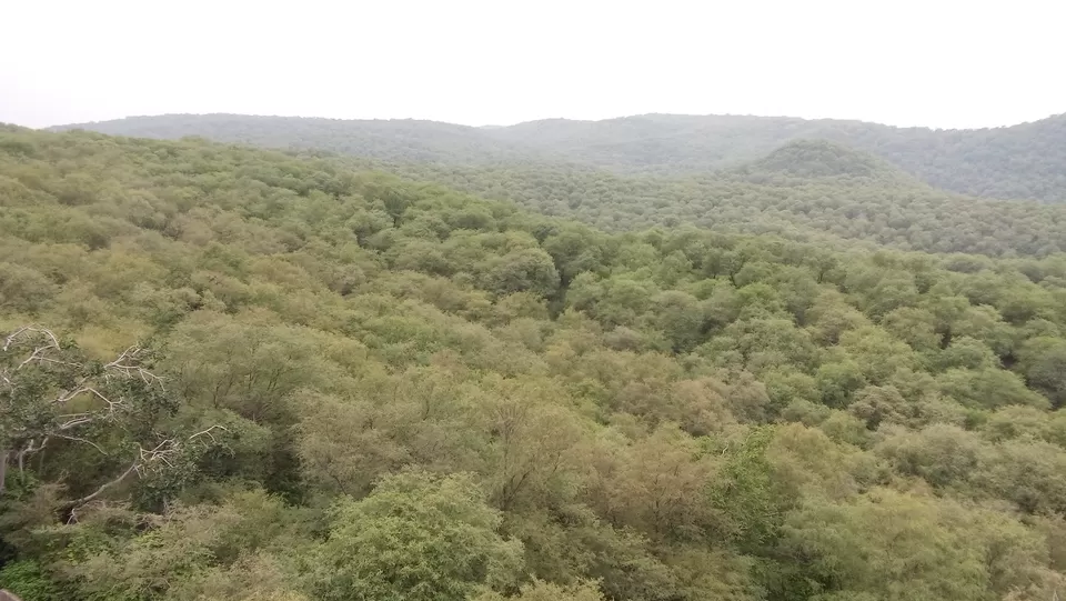 Photo of Jaigarh Fort, Jaipur, Rajasthan, India by Pushp Mishra