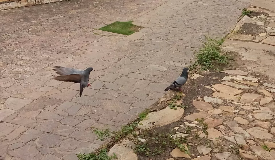 Photo of Jaigarh Fort, Jaipur, Rajasthan, India by Pushp Mishra