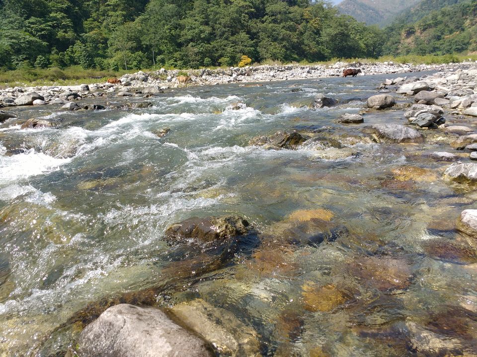 Photo of Quiet and Offbeat - Manila, Almora 26/36 by Pushp Mishra