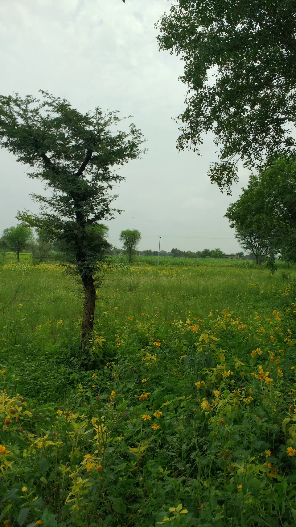 Photo of Sikar Road, Block B, Jaipur, Rajasthan, India by Pushp Mishra