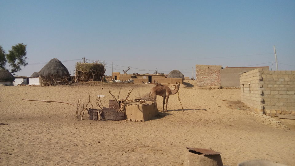Photo of Wandering beyond Sam Sand Dunes 4/39 by Pushp Mishra