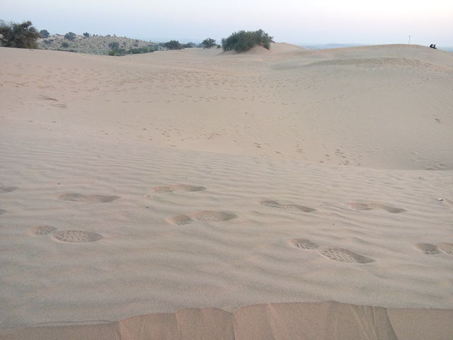 Photo of Wandering beyond Sam Sand Dunes 18/39 by Pushp Mishra
