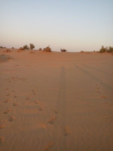 Photo of Wandering beyond Sam Sand Dunes 20/39 by Pushp Mishra