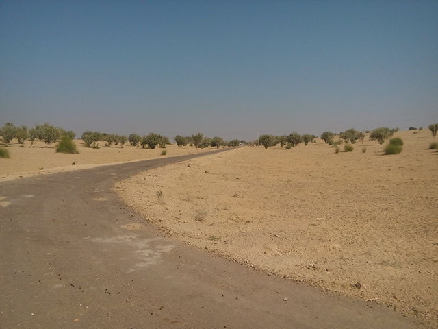 Photo of Wandering beyond Sam Sand Dunes 25/39 by Pushp Mishra