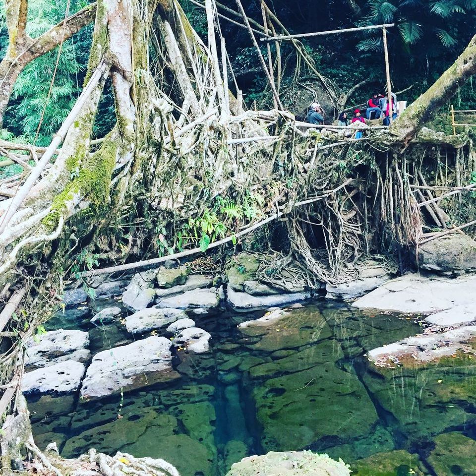Photo of Living Root Bridge, Cherrapunjee, Meghalaya, India by Samiran Mondal