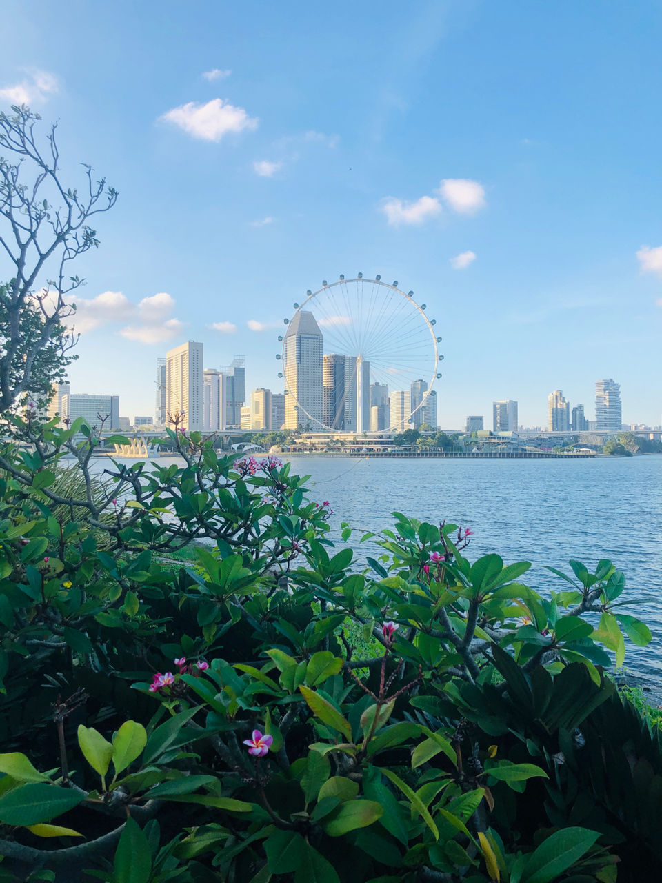 Photo of Gardens by the Bay (TE22), Singapore by Suchitra Sayeeram
