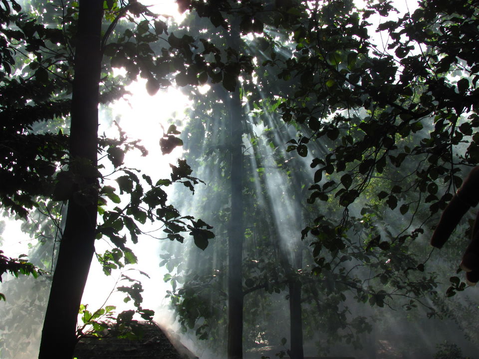 Photo of Kerala Calling-Discovering some alleys of 'God's own country': Thrissur, Munnar, Allepy and Kochi 2/30 by Kishnaa Samana