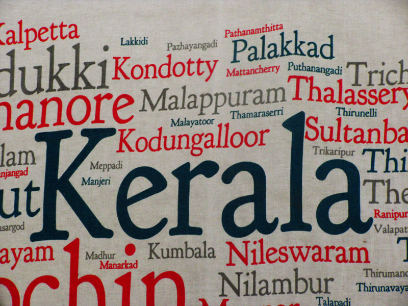 Photo of Kerala Calling-Discovering some alleys of 'God's own country': Thrissur, Munnar, Allepy and Kochi 23/30 by Kishnaa Samana