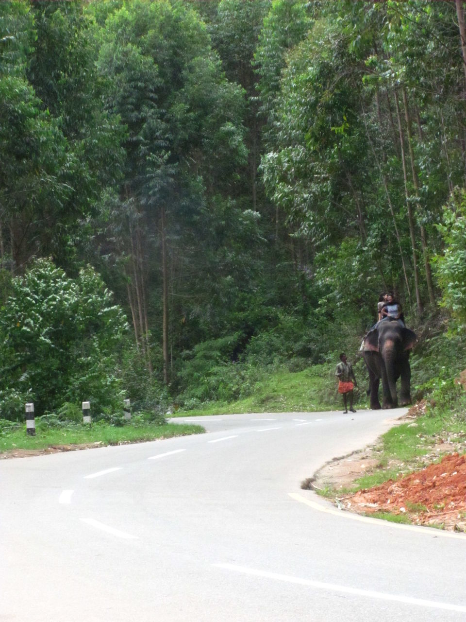 Photo of Kerala Calling-Discovering some alleys of 'God's own country': Thrissur, Munnar, Allepy and Kochi 9/30 by Kishnaa Samana