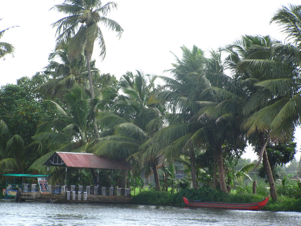 Photo of Kerala Calling-Discovering some alleys of 'God's own country': Thrissur, Munnar, Allepy and Kochi 15/30 by Kishnaa Samana