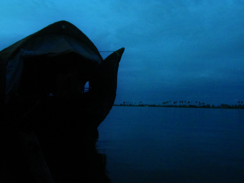 Photo of Kerala Calling-Discovering some alleys of 'God's own country': Thrissur, Munnar, Allepy and Kochi 22/30 by Kishnaa Samana