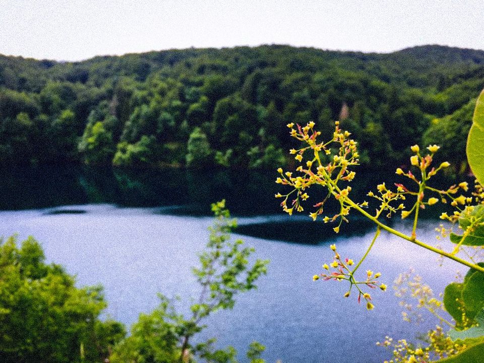 Photo of Plitvice Lakes (Plitvička Jezera), Plitvička Jezera, Croatia by Divya Bhardwaj