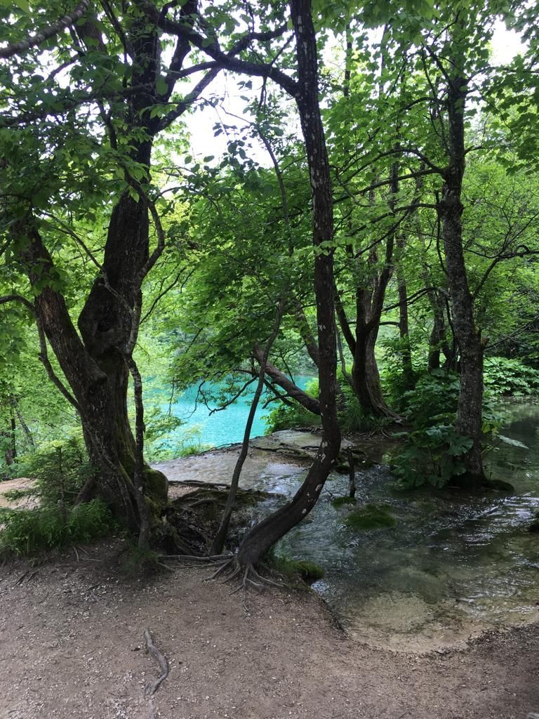 Photo of Plitvice Lakes (Plitvička Jezera), Plitvička Jezera, Croatia by Divya Bhardwaj