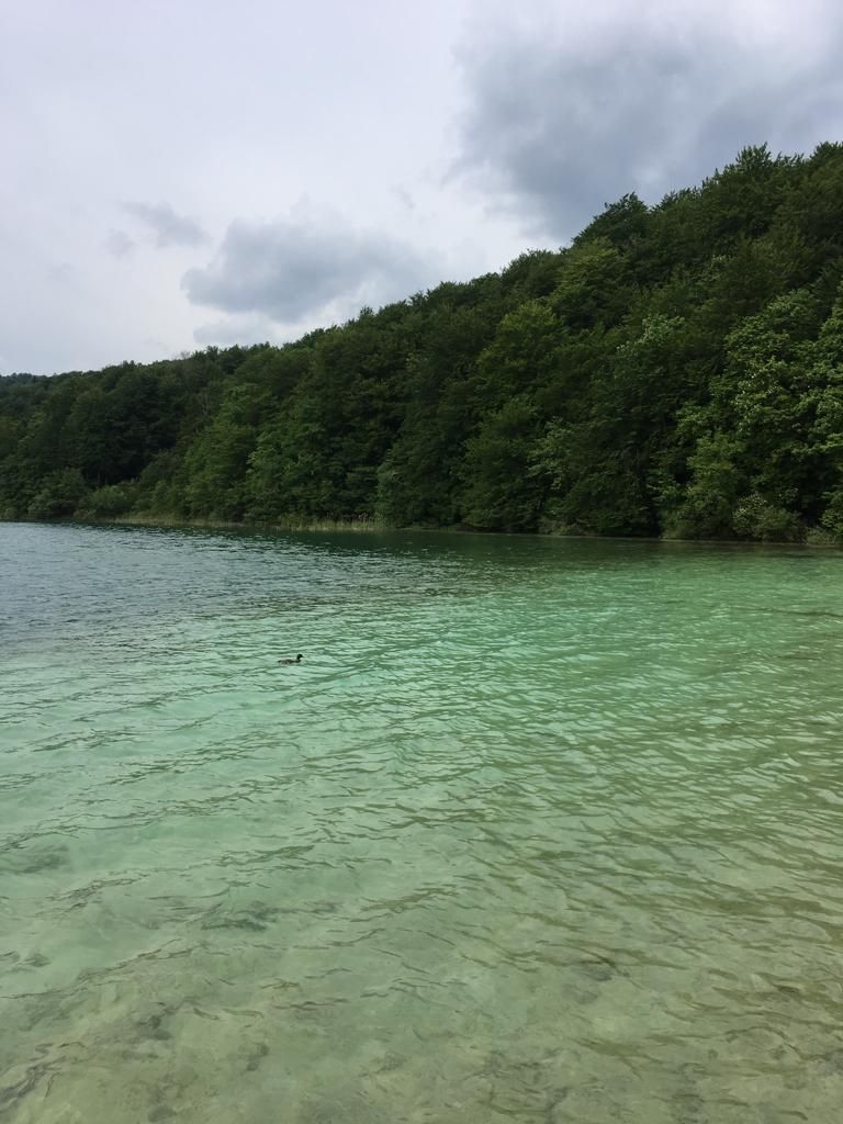 Photo of Plitvice Lakes (Plitvička Jezera), Plitvička Jezera, Croatia by Divya Bhardwaj