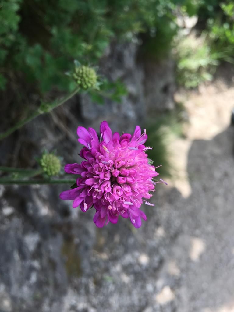 Photo of Plitvice Lakes (Plitvička Jezera), Plitvička Jezera, Croatia by Divya Bhardwaj
