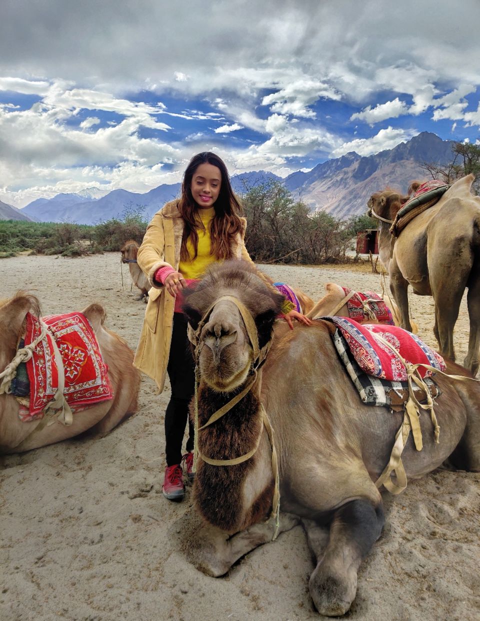 Photo of How I got Leh'd by Megha Roy