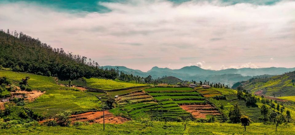 Photo of Kotagiri - The unadulterated beauty in the Nilgiris 2/4 by Travel...Tales...Toast