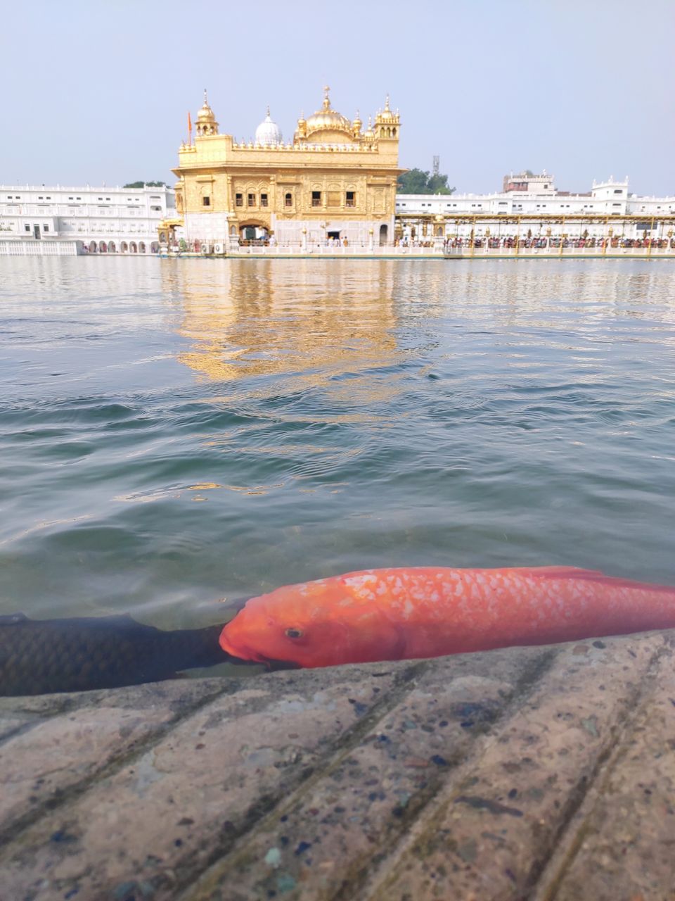 Photo of Amritsar, Punjab, India by Gautam Prasad Belwal