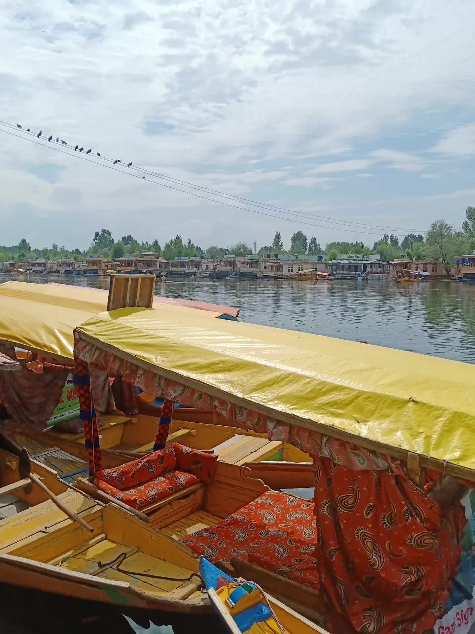 Photo of Dal Lake, Srinagar by 𝙶𝚊𝚞𝚛𝚊𝚟 𝙺𝚘𝚑𝚕𝚒✨ 