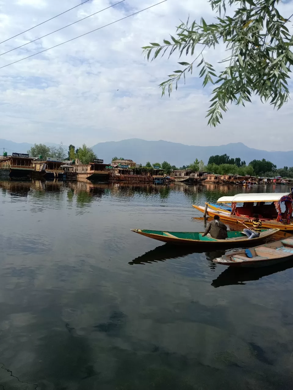 Photo of Dal Lake, Srinagar by 𝙶𝚊𝚞𝚛𝚊𝚟 𝙺𝚘𝚑𝚕𝚒✨ 