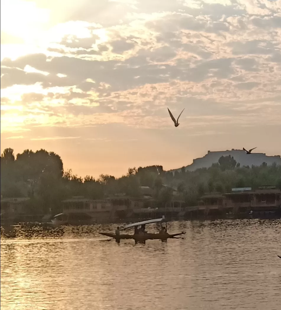 Photo of Dal Lake, Srinagar by 𝙶𝚊𝚞𝚛𝚊𝚟 𝙺𝚘𝚑𝚕𝚒✨ 