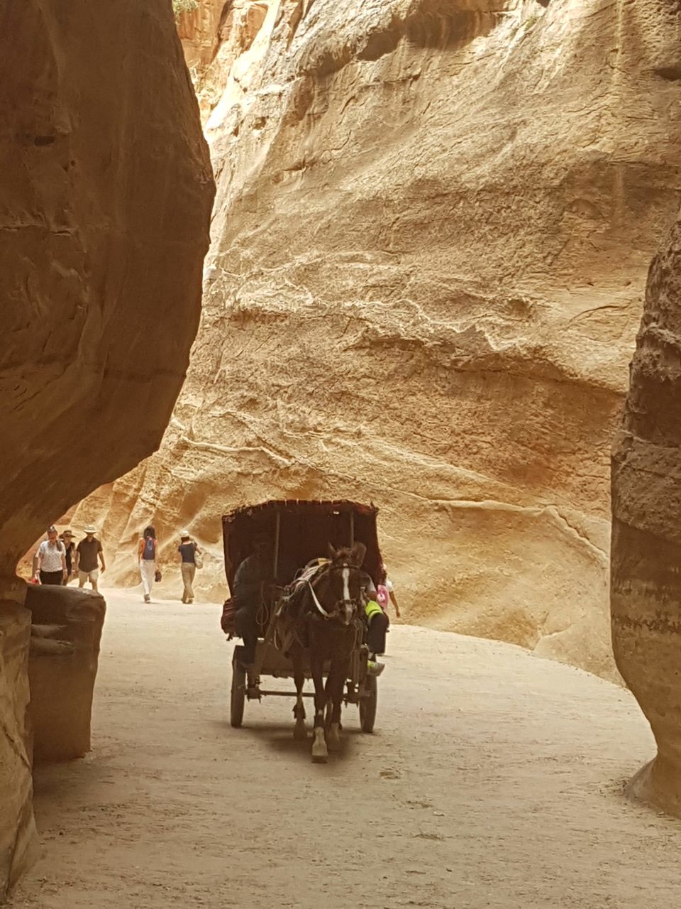 Photo of Pilgrimage trip to Jordan #bestof2018 7/17 by Smitha Aji