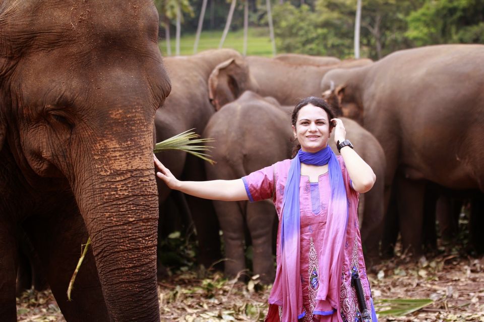 Photo of My 10 days trip to the land of spices, elephants, gemstones, tea - Srilanka! 2/29 by Smitha Aji