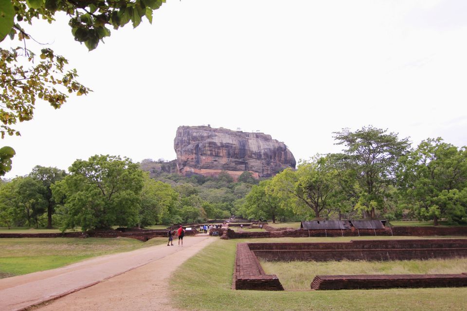 Photo of My 10 days trip to the land of spices, elephants, gemstones, tea - Srilanka! 3/29 by Smitha Aji