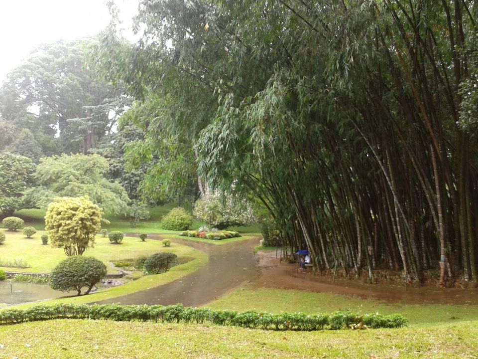 Photo of My 10 days trip to the land of spices, elephants, gemstones, tea - Srilanka! 9/29 by Smitha Aji