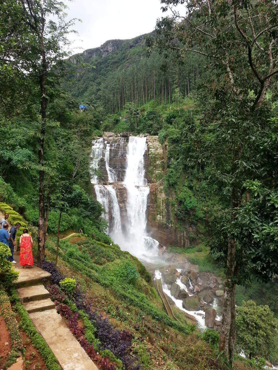 Photo of My 10 days trip to the land of spices, elephants, gemstones, tea - Srilanka! 11/29 by Smitha Aji