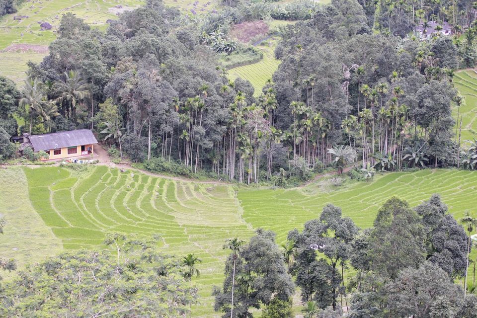 Photo of My 10 days trip to the land of spices, elephants, gemstones, tea - Srilanka! 14/29 by Smitha Aji