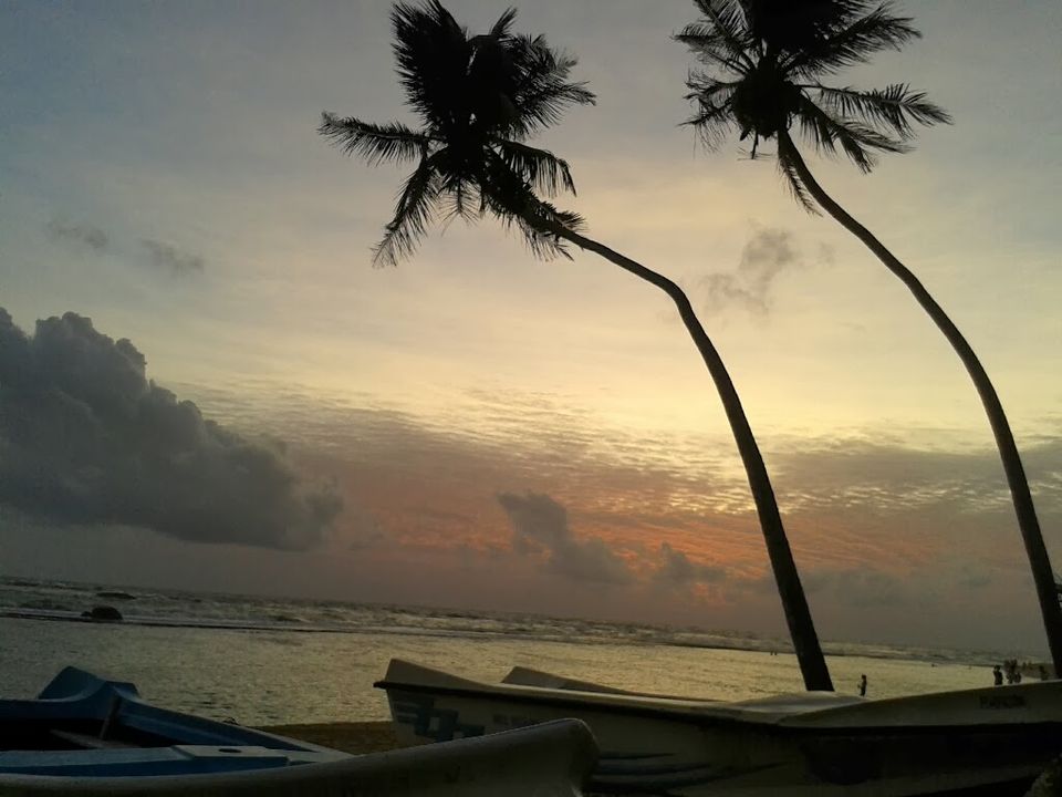 Photo of My 10 days trip to the land of spices, elephants, gemstones, tea - Srilanka! 16/29 by Smitha Aji