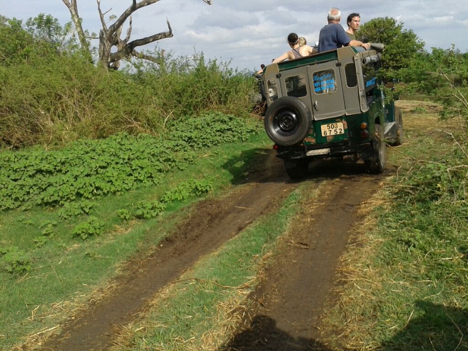Photo of My 10 days trip to the land of spices, elephants, gemstones, tea - Srilanka! 7/29 by Smitha Aji
