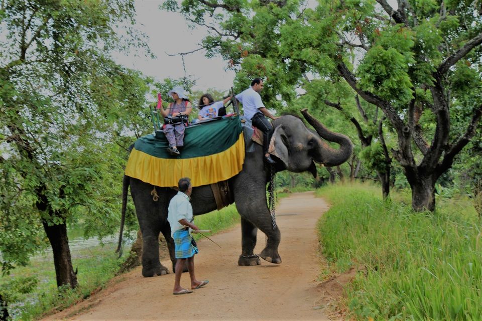 Photo of My 10 days trip to the land of spices, elephants, gemstones, tea - Srilanka! 28/29 by Smitha Aji
