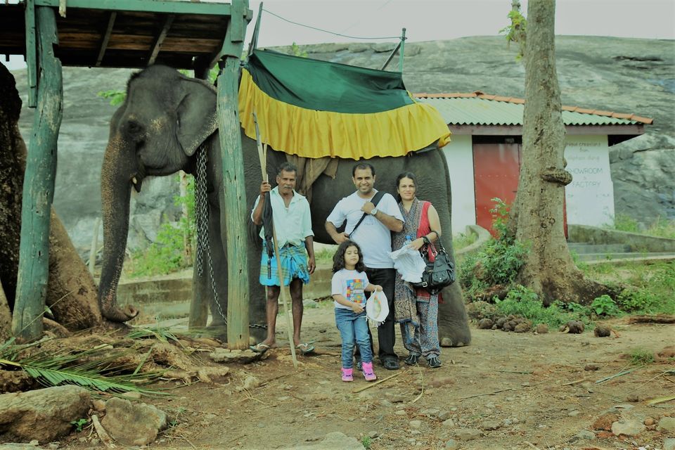 Photo of My 10 days trip to the land of spices, elephants, gemstones, tea - Srilanka! 29/29 by Smitha Aji